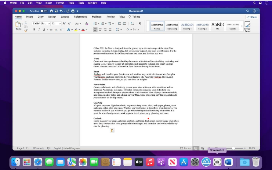 Microsoft Office for Mac LTSC